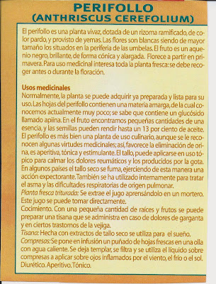 perifolium