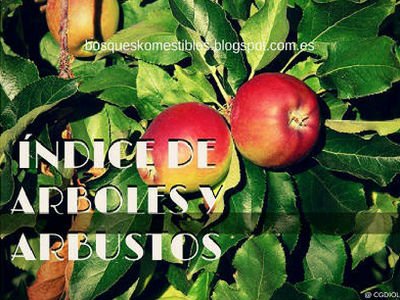 Lista de Arboles y Arbustos en Fichas de Plantas