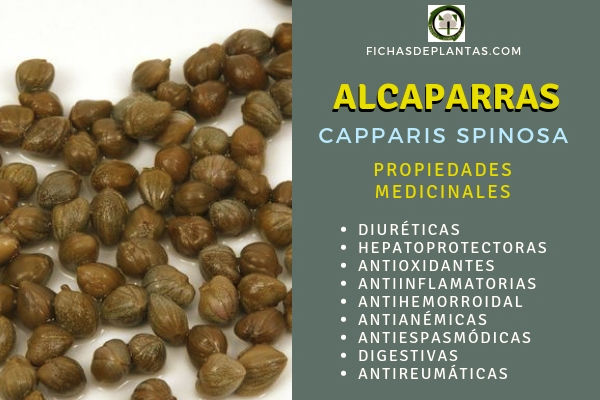 Alcaparra Propiedades 