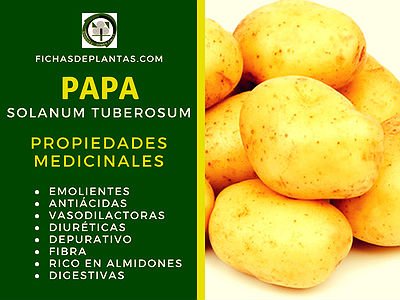 Papa Propiedades Medicinales