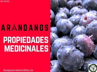 arándanos-propiedades