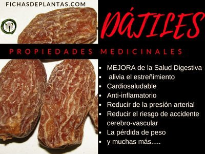 Propiedades de los Dátiles