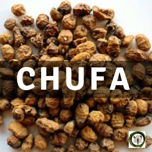 Chufa, Planta Medicinal