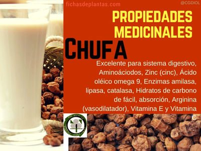Chufa-propiedades