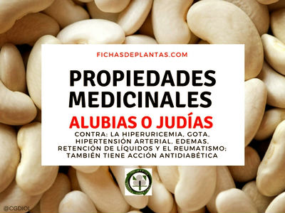 alubias-propiedades