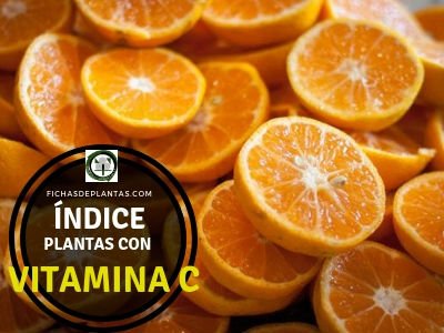 Plantas con Vitamina C