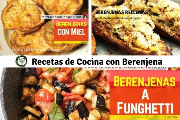 Berenjena, Recetas de Cocina