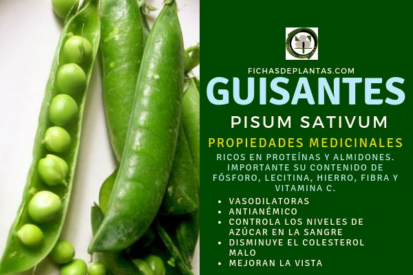 Guisantes Propiedades