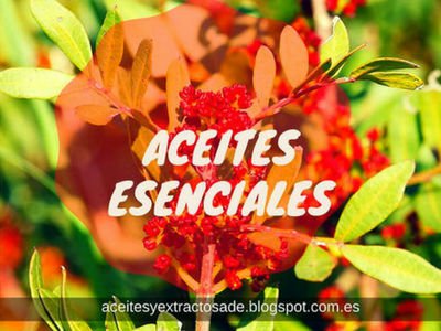 Listada de Aceite Esenciales en Fichas de Plantas