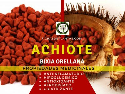 Achiote Propiedades Medicinales
