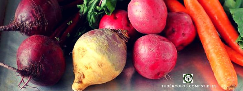 Tubérculos Comestibles
