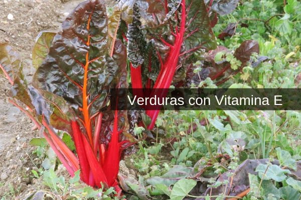 Verduras con Vitamina E