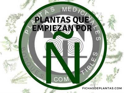 Plantas que empiezan con Ñ