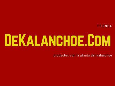 Kalanchoe dagreimontiana