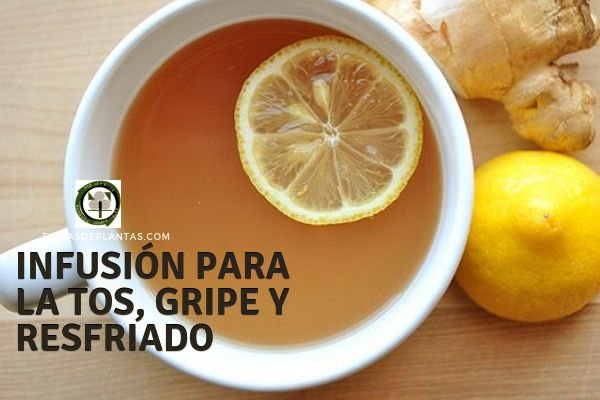 Infusión para la Tos y Gripe