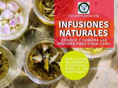 Infusiones Naturales