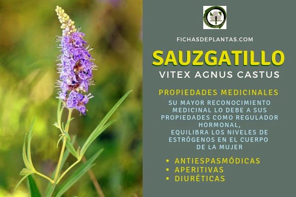 Sauzgatillo Propiedades
