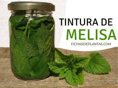 Tintura de Melisa