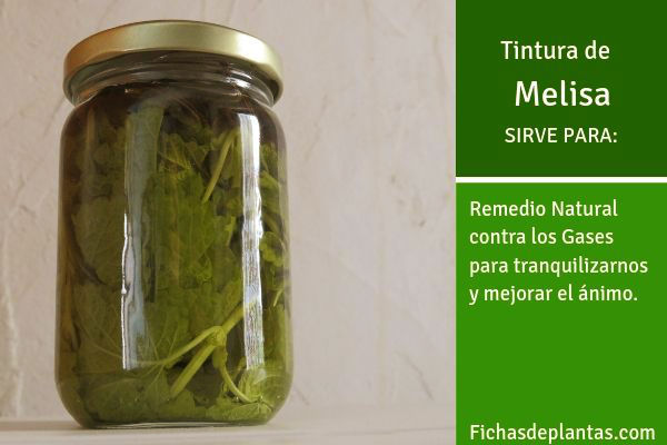 Tintura de Melisa, Para qué sirve la 
