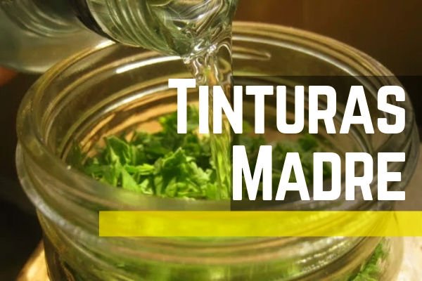 Tintura madre, Cómo se Hace