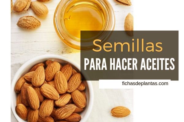 Semillas para Aceites, Cosmética
