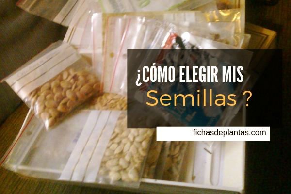 ¿ Cómo Elegir mis Semillas?
