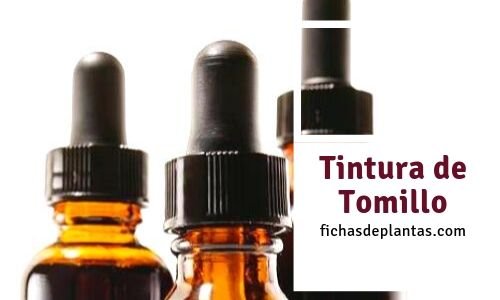 Comprar Tintura de Tomillo
