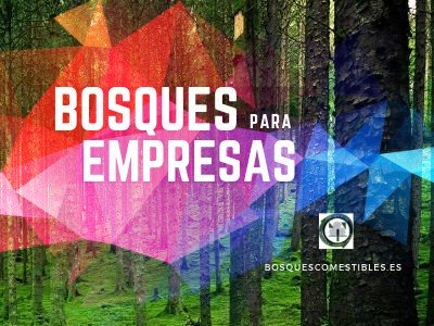 Marketing de Empresas de Plantas