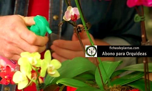 Orquídeas Abono