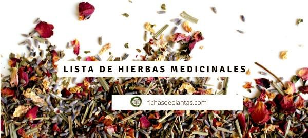 Hierbas Medicinales