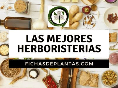 herboristerias en España