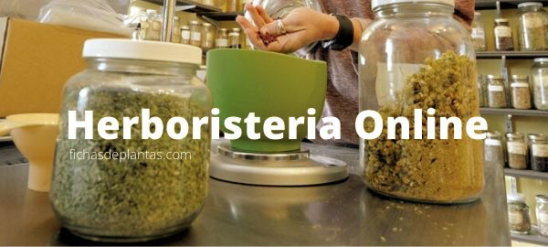 Herbolario online