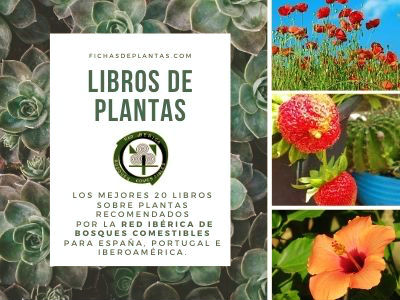 libros de plantas y flores