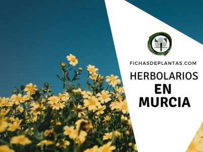 Herbolario Murcia España