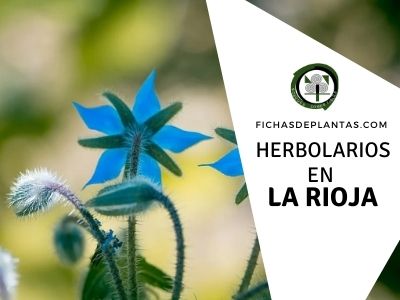 Herbolario en La Rioja, España