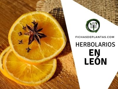 Herbolario León, España