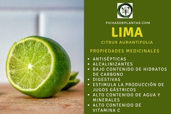 Beneficios de la lima para la salud