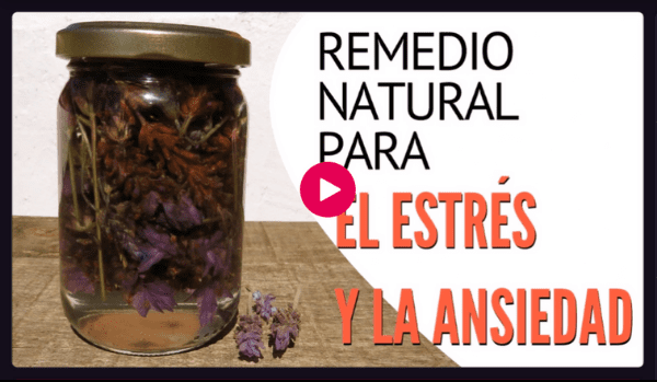 Para el Estrés y la Ansiedad