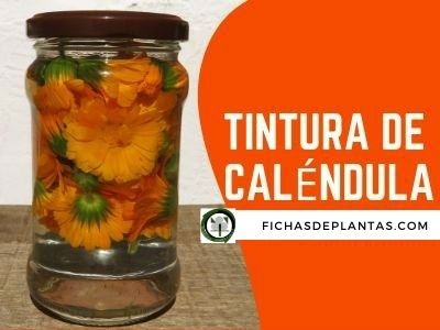 tintura de caléndula para que sirve