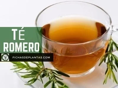 Te de Romero