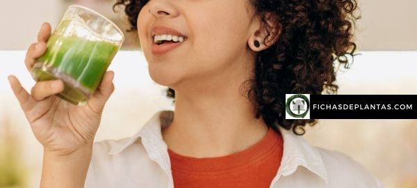 suplemento alimenticio Chlorella