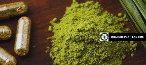 Chlorella comprar