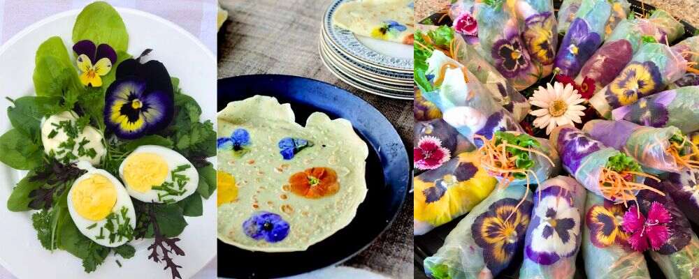 Pensamiento flor comestible